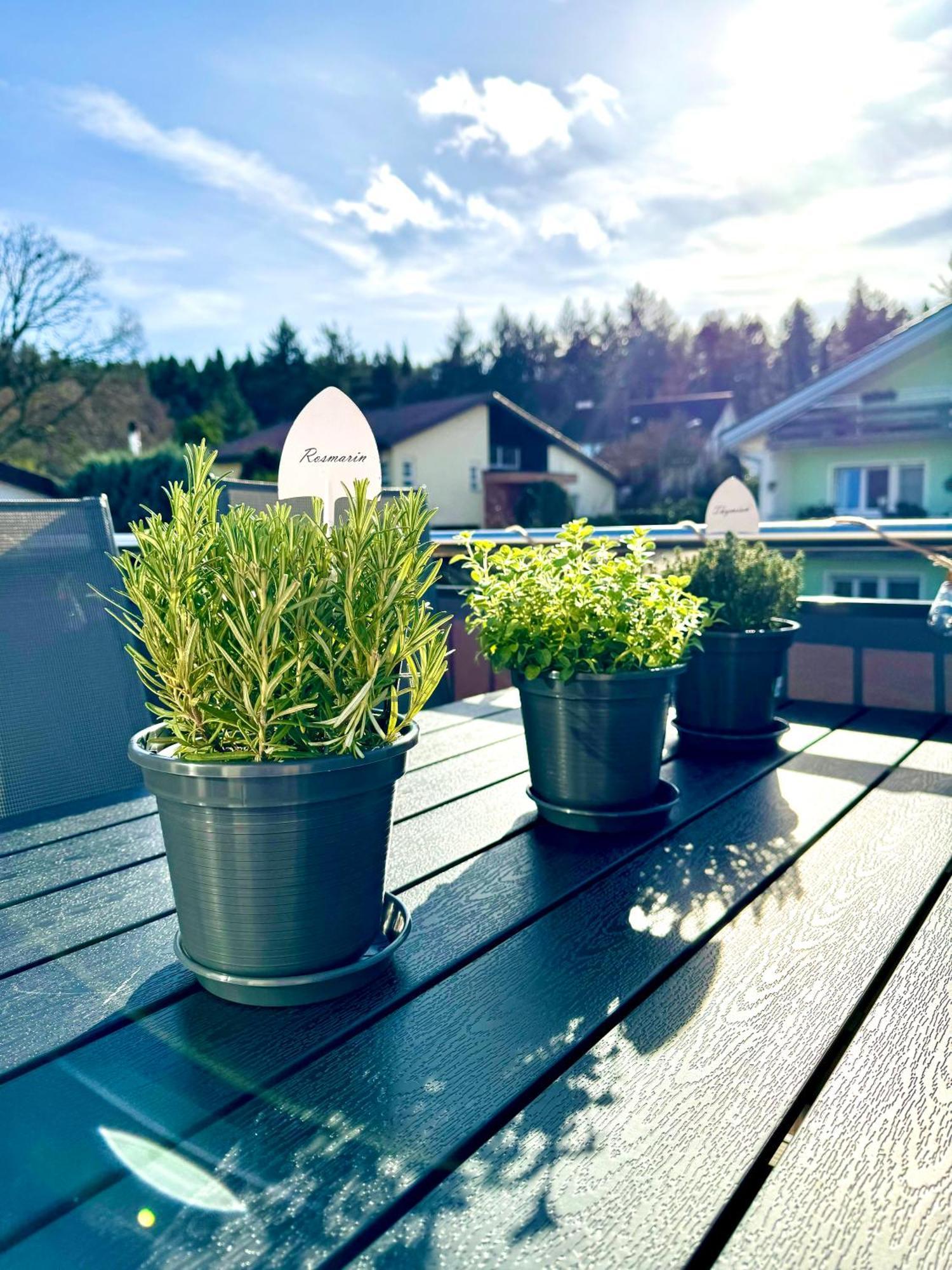 Apartment Schwarzwaldliebe Mit Eigenem Garten Gaggenau
